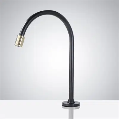 изображение для Fontana Commercial Matte Black and Gold Restroom Faucet