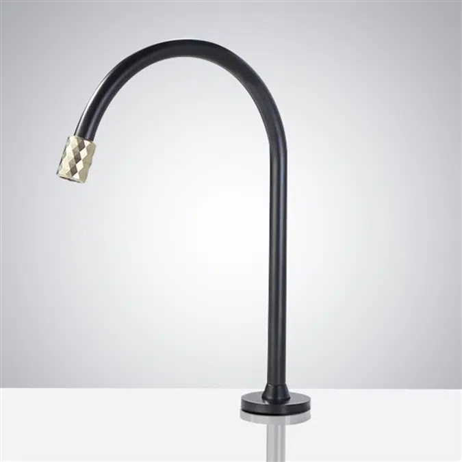 Fontana Commercial Matte Black and Gold Restroom Faucet