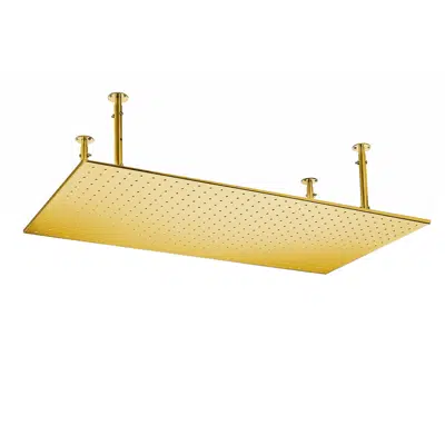 Fontana Vicenza 20x40in Polished Gold Ceiling Mount Rainfall Shower Head图像