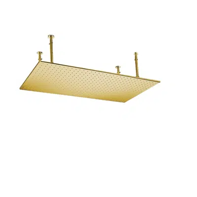 Imagem para Fontana Casoria 20x40in Brushed Gold Ceiling Mount Rain Shower Head}