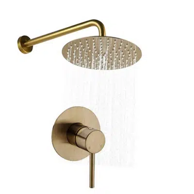 Image pour Fontana Marseille Modern Brushed Gold Rainfall Shower Head Se