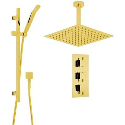 Fontana Gold Rain Shower System图像