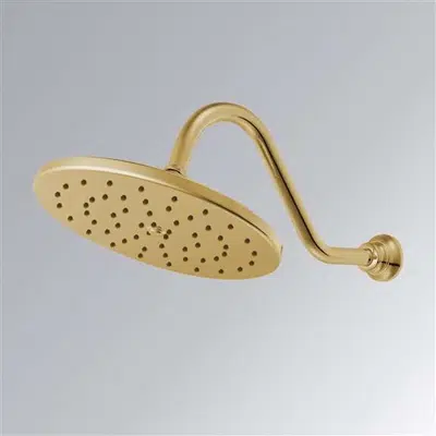 imagen para Fontana Brushed Gold Round Rainfall Showerhead