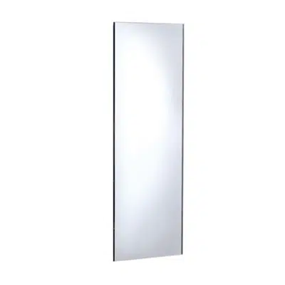Image for Mirror Metric