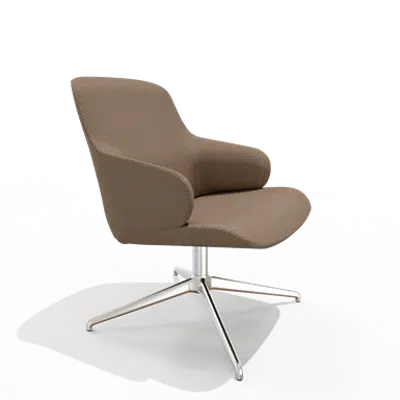 Image pour Amstelle easy chair