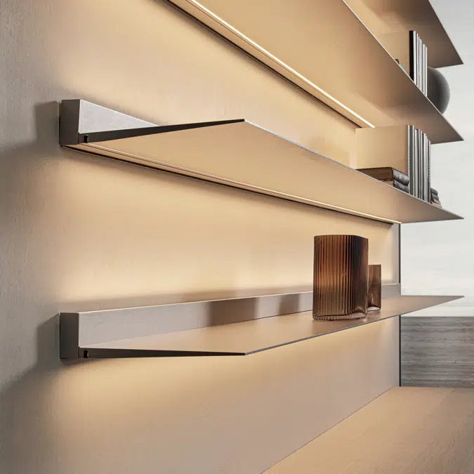 07 Pass-Word Evolution | Living Systems and Bookshelves