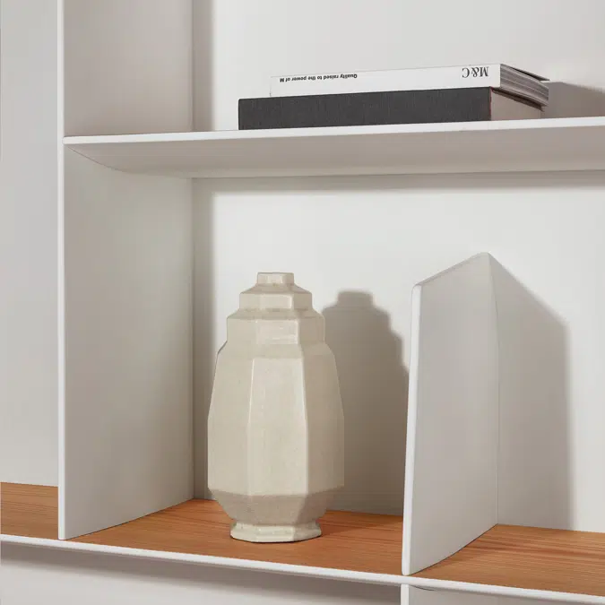 17 D.357.1/2 | Living Systems and Bookshelves