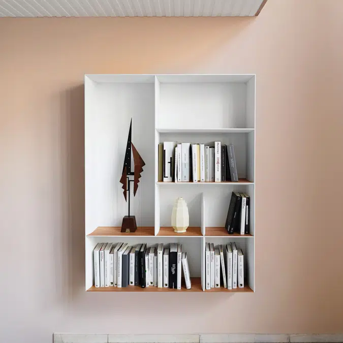 17 D.357.1/2 | Living Systems and Bookshelves