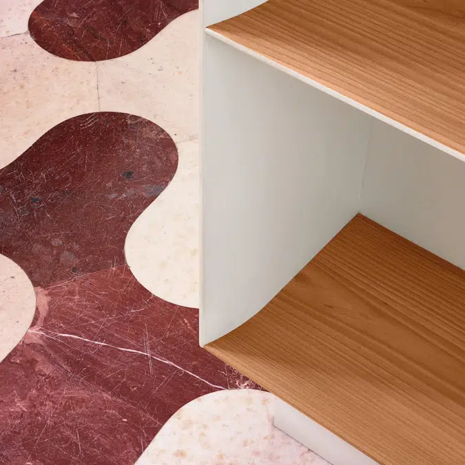 17 D.357.1/2 | Living Systems and Bookshelves