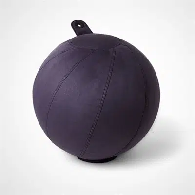 Image pour StandUp BALANCE seating ball