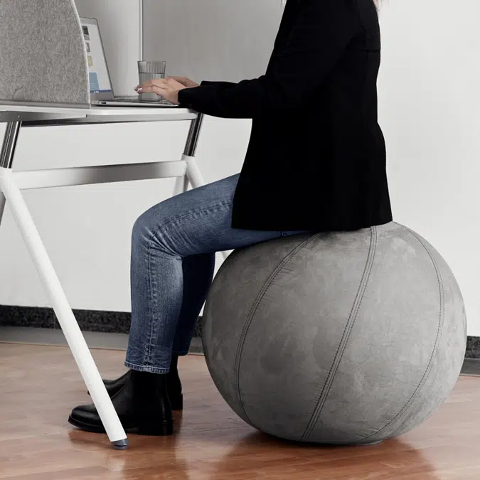 StandUp BALANCE seating ball