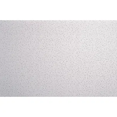 Image for Ceramaguard - Zentia Ceiling Tiles (Steam Resistant)