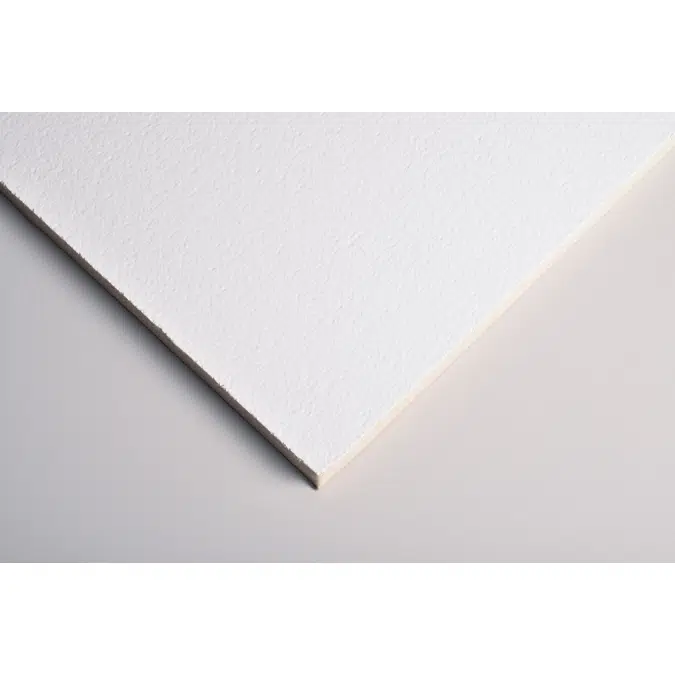 Plain - Zentia Ceiling Tile (ultra-clean finish)