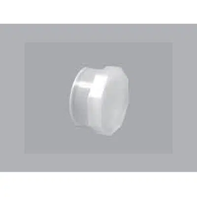 Image for Cap - Whiteline PVDF Socket Fusion