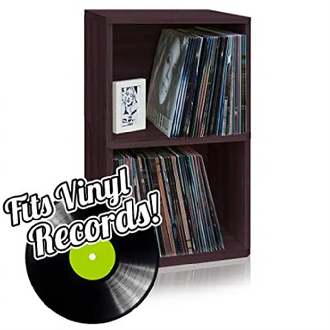 Way Basics 2 LP Album Shelf Vinyl Record Storage Cube, Espresso