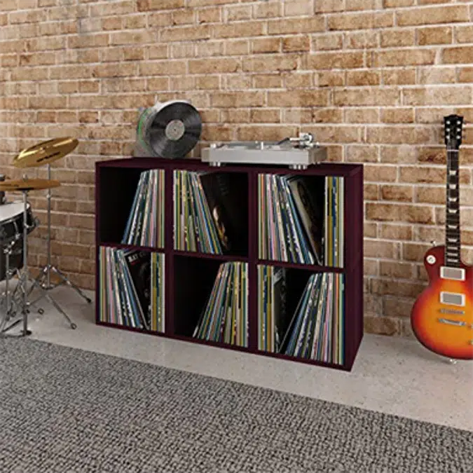 Vinyl Record Storage Shelf