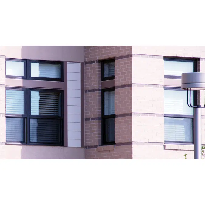 Artisan Series - Single Hung Windows