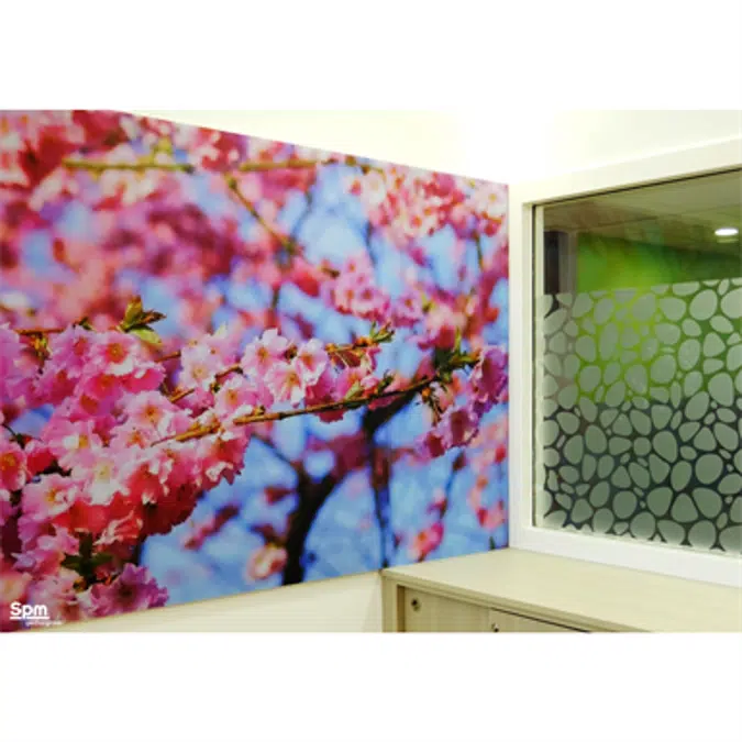 DECOPRINT