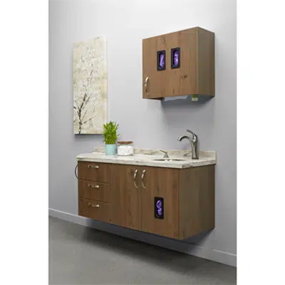 Immagine per Artizan® Expressions Wall Hung Side Station - WHSS5800