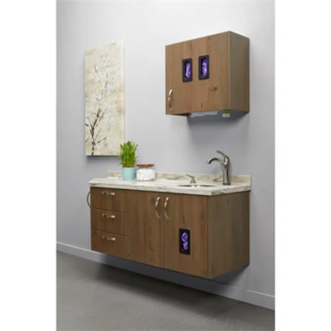 Artizan® Expressions Wall Hung Side Station - WHSS5800