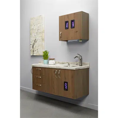 Image for Artizan® Expressions Wall Hung Side Station - WHSS5800