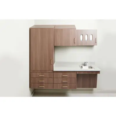 Synthesis® - Wall Hung Full Tall Cabinetry图像