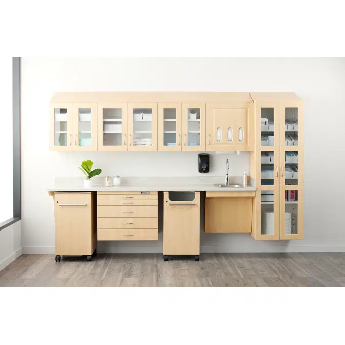 Synthesis® - Wall Hung Over Cart Tall Cabinetry