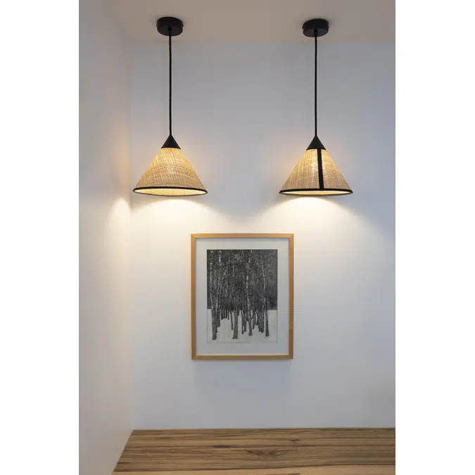 PARIS-HANOI - SMALL PENDANT LIGHT