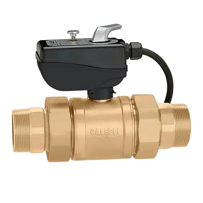 画像 638 series Motorized Ball Valve - NA Market