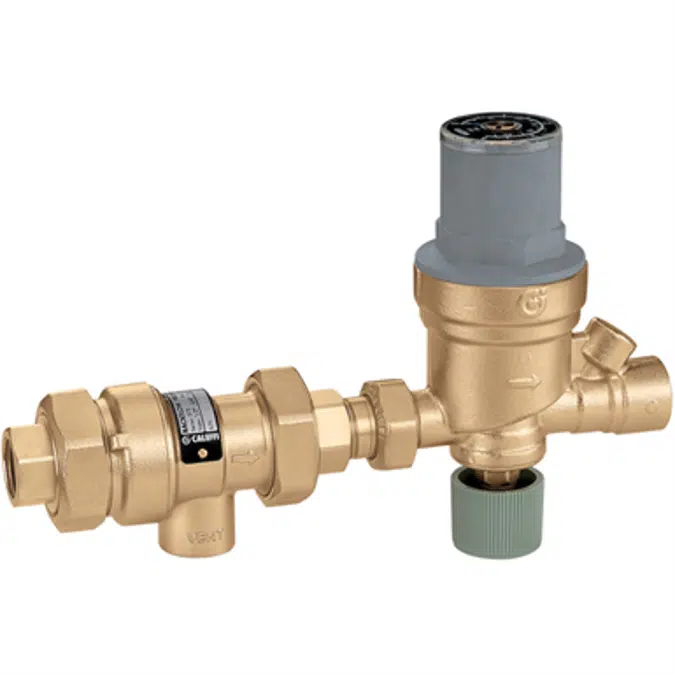 AutoFill™ Combo Dual Check Backflow Preventer 573 - NA Market