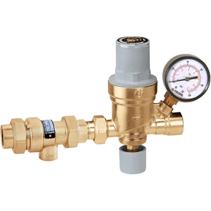 AutoFill™ Combo Dual Check Backflow Preventer 573 - NA Market