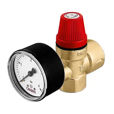 Immagine per Safety relief valve. Female connections. With pressure gauge