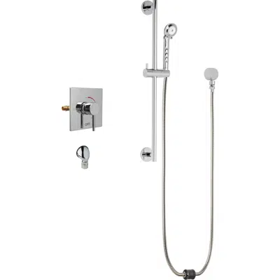 obraz dla Thermostatic/Pressure Balancing Shower Fitting with Auto-Drain™ and Hand Spray, SH-TP6-00-021
