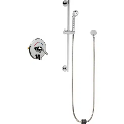 Image pour Thermostatic/Pressure Balancing Shower Fitting with Auto-Drain™ and Hand Spray, SH-TP4-00-021