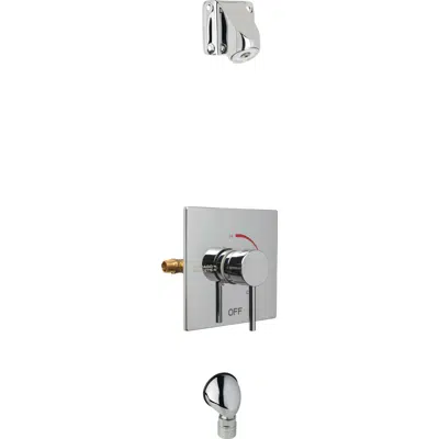 obraz dla Thermostatic/Pressure Balancing Shower Fitting with Auto-Drain™ and Ligature Resistant Shower Head, SH-TP6-04-000