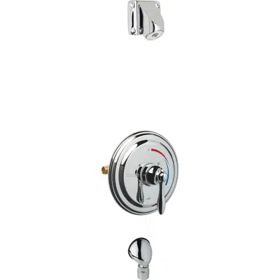 Image pour Thermostatic/Pressure Balancing Shower Fitting with Auto-Drain™ and Ligature Resistant Shower Head, SH-TP5-04-000