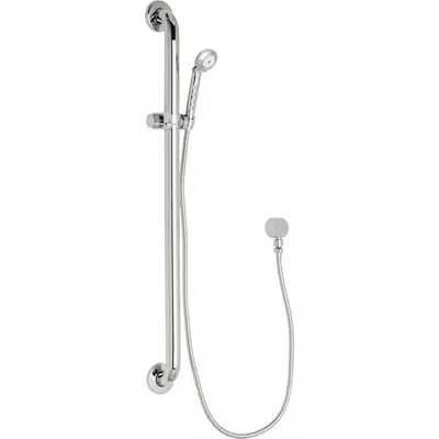 Image pour Wall-Mounted Shower Hand Spray with 36" ADA Grab Bar, 154-ACP