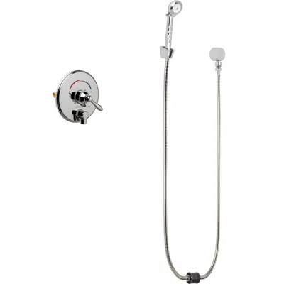 Image pour Thermostatic/Pressure Balancing Shower Fitting with Auto-Drain™ and Hand Spray, SH-TP4-00-070