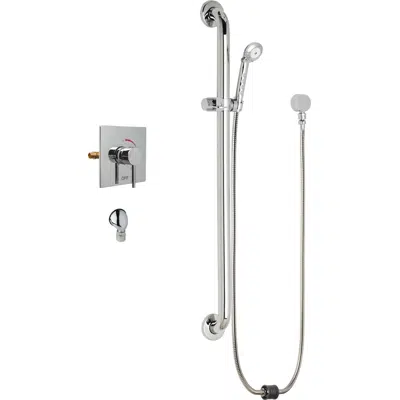 Image pour Thermostatic/Pressure Balancing Shower Fitting with Auto-Drain™ and Hand Spray, SH-TP6-00-024