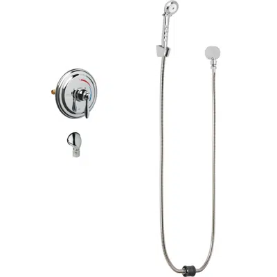Image pour Thermostatic/Pressure Balancing Shower Fitting with Auto-Drain™ and Hand Spray, SH-TP5-00-020