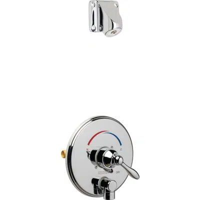 Image pour Thermostatic/Pressure Balancing Shower Fitting with Auto-Drain™ and Ligature Resistant Shower Head, SH-TP4-04-000
