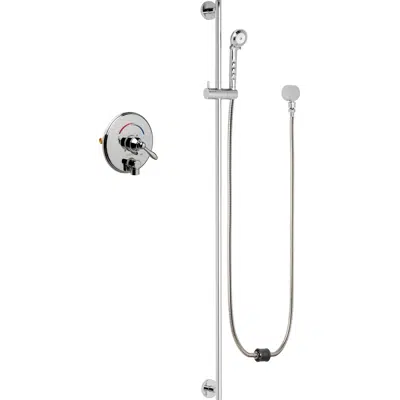 Image pour Thermostatic/Pressure Balancing Shower Fitting with Auto-Drain™ and Hand Spray, SH-TP4-00-022