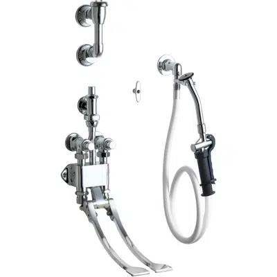 afbeelding voor Bed Pan Cleaner with Remote Pedal Valve, 910-G777-21KCP