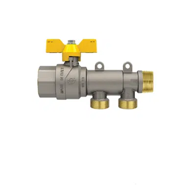 Image pour Gaspex - Valve with manifold first inlet