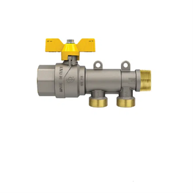 Gaspex - Valve with manifold first inlet