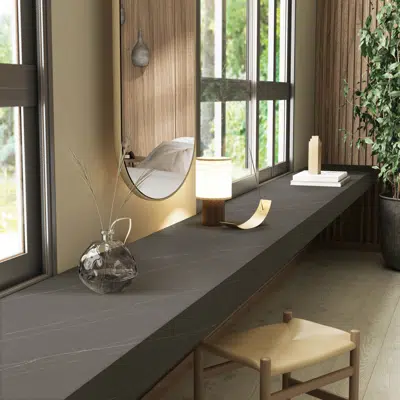 Immagine per Solid Surface