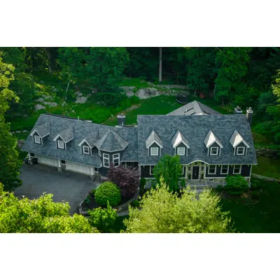 Immagine per Synthetic Slate Roofing