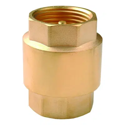 Image for NY check valve thread conection F-F