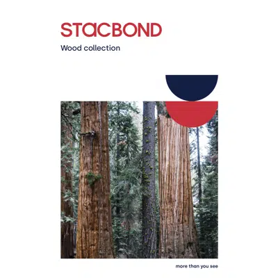 Wood collection color chart图像