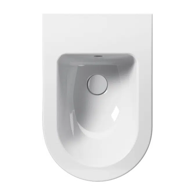 Pura - Floorstanding WC 55x36